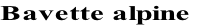 Bavette alpine
