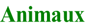 Animaux
