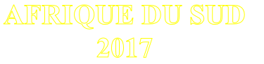 AFRIQUE DU SUD 
2017
