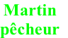 Martin 
pêcheur
