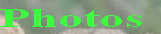 Photos