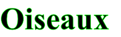 Oiseaux
